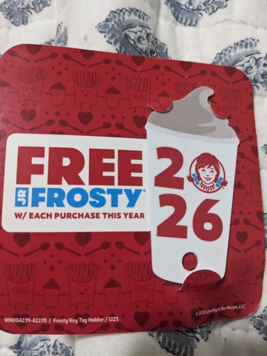 2026 wendy frosty key - frosty, tag